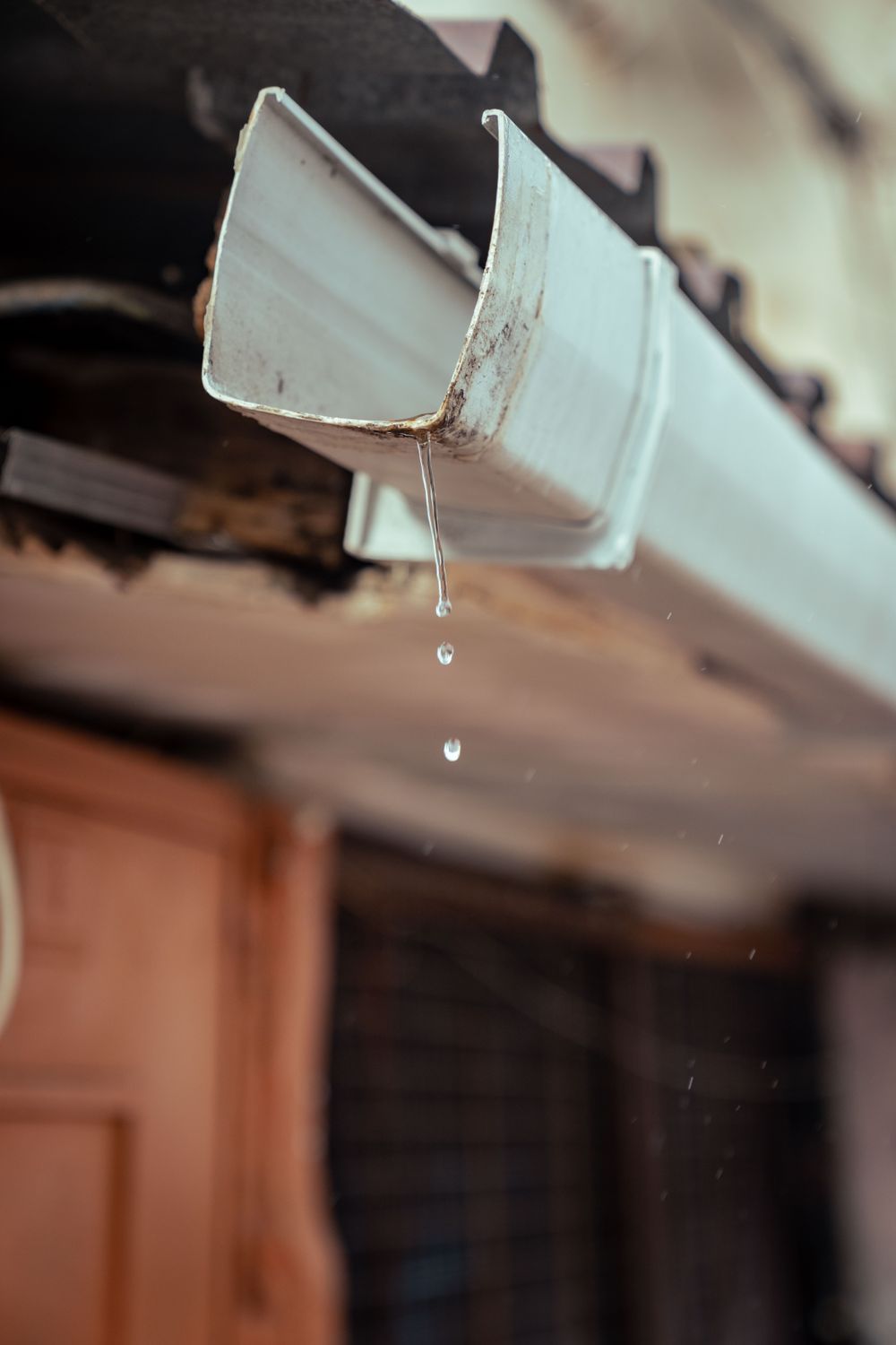 Open end of a white gutter dripping water over weathered fascia