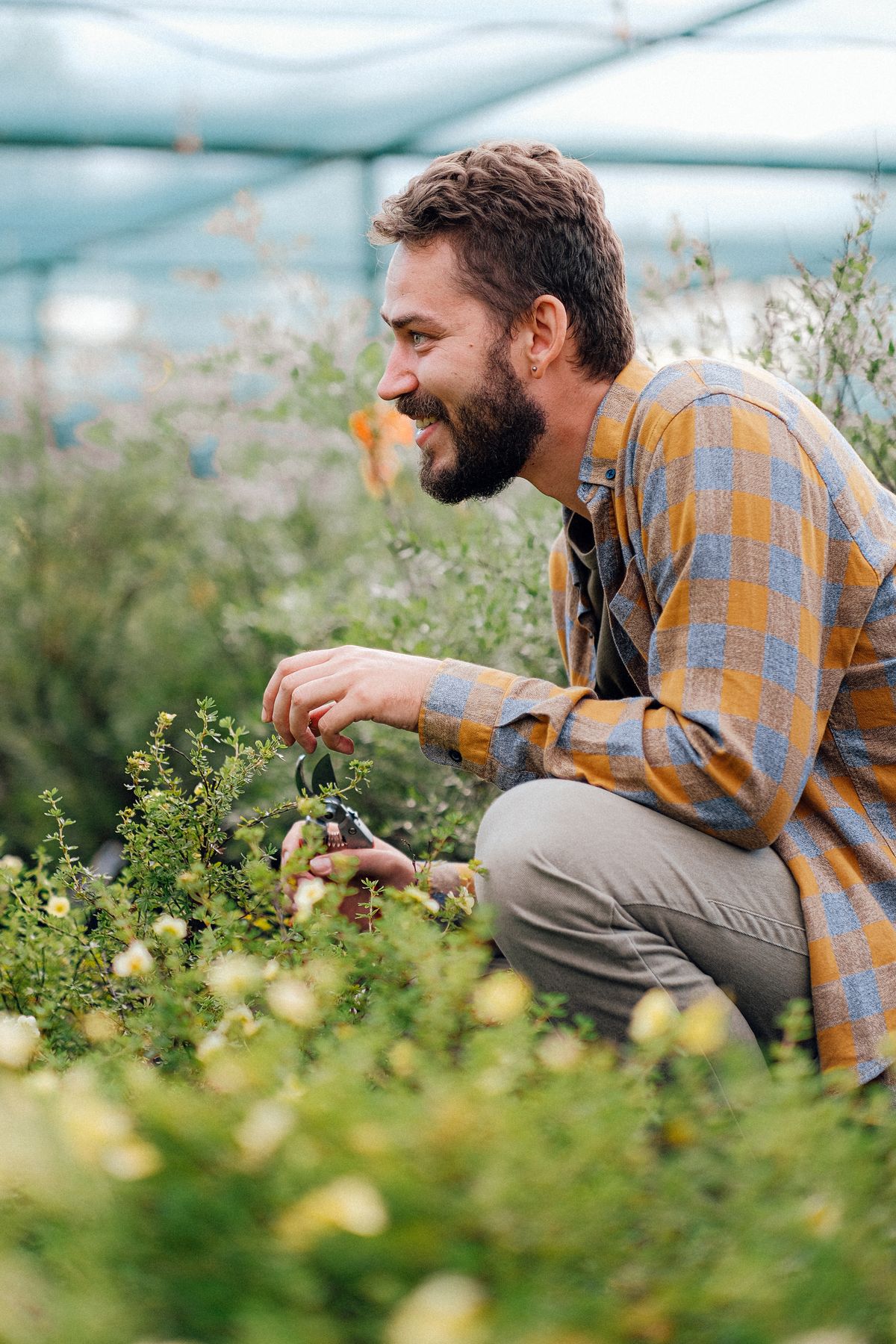 Calvin checking young shrubs at a local nursery