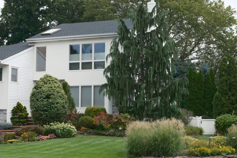 White two-story home with layered foundation plantings, evergreens and ornamental grasses