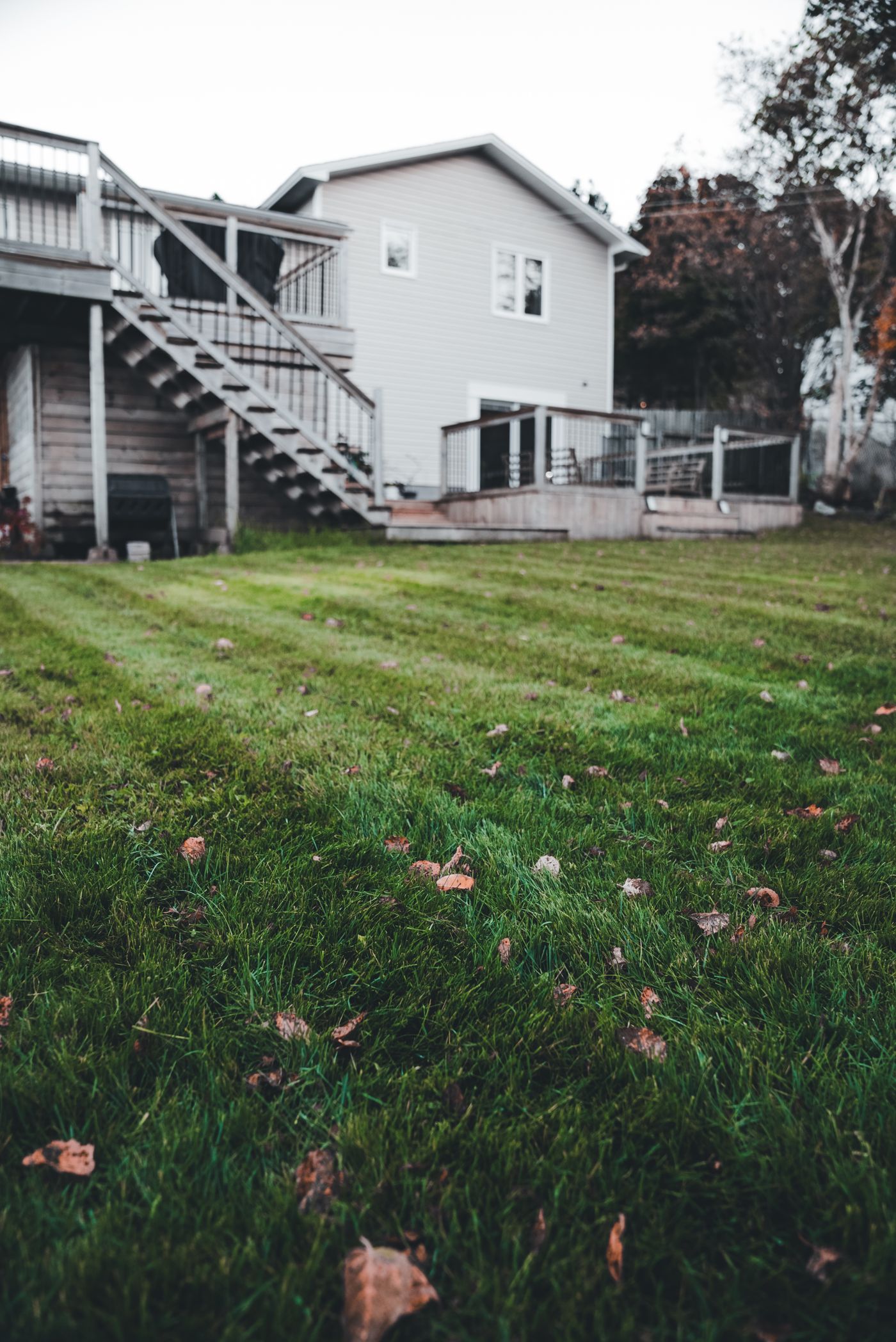Striped backyard lawn below a two-story deck