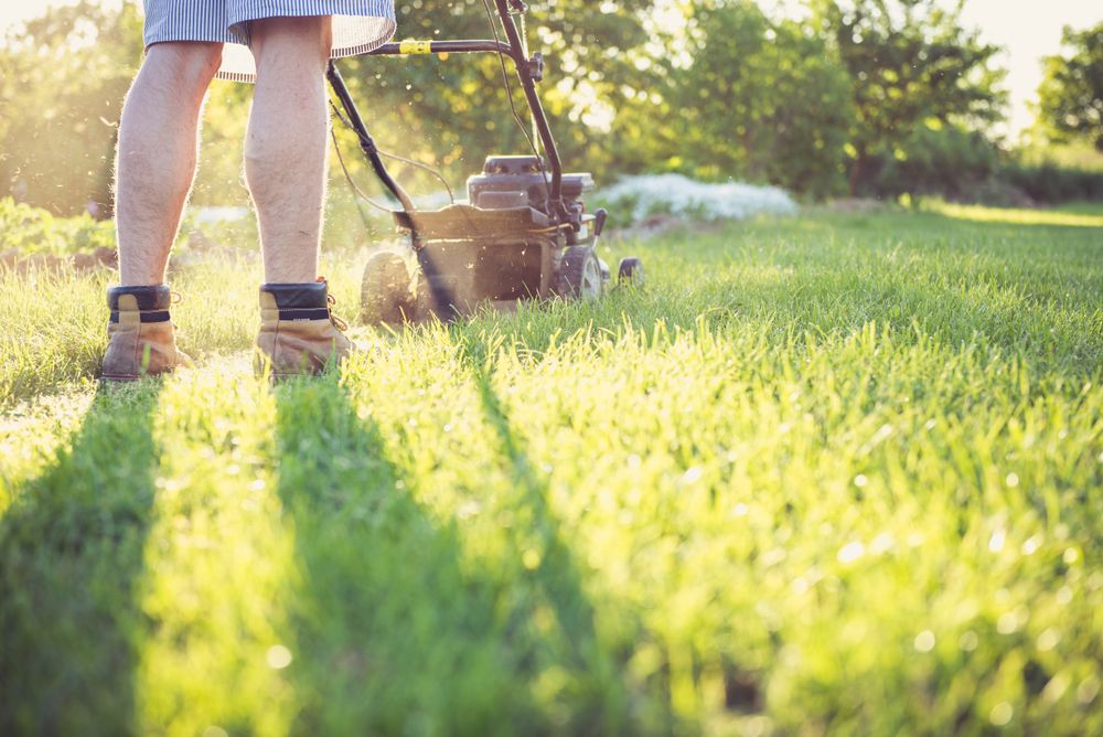 Push mower cutting a sunlit lawn