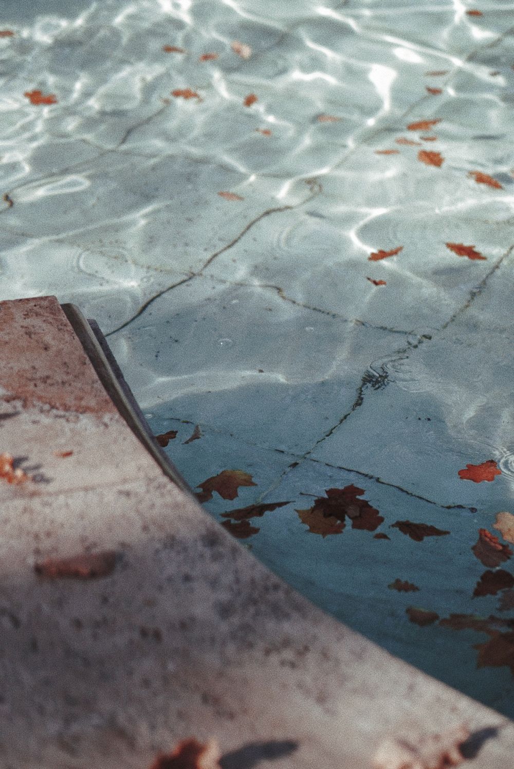 Leaves and cloudy water in a neglected pool before recovery