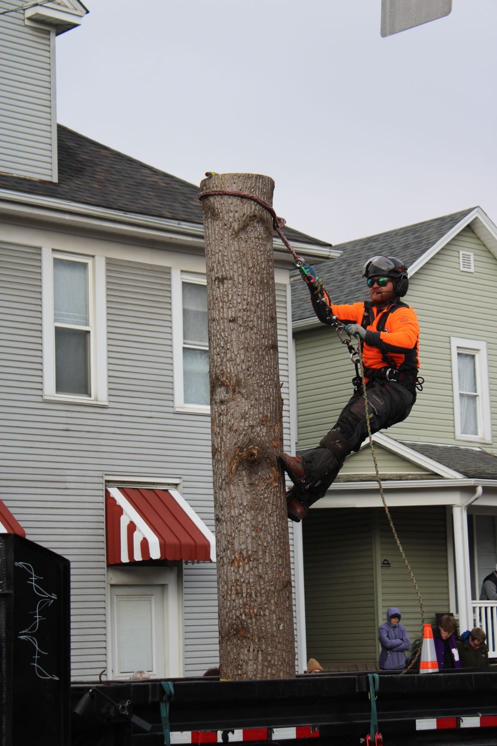 Climber in a harness taking down a tall trunk between two houses